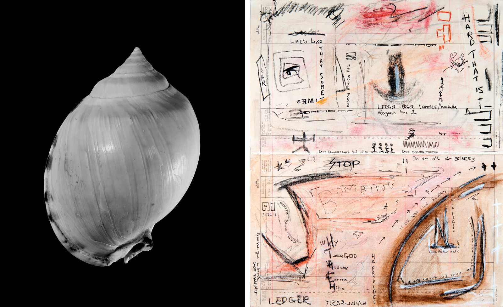 Diptych — shell still life paired with raw ledger drawings in charcoal and pastel, Melbourne