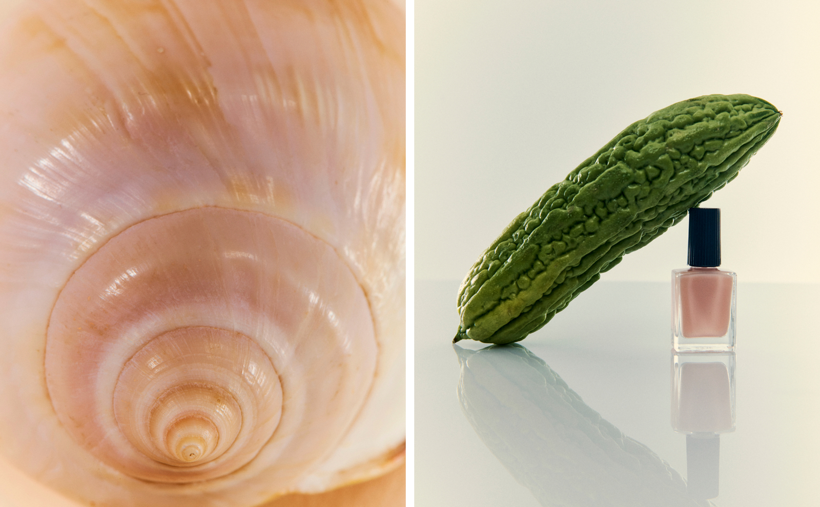 Texture diptych — pearlescent snail shell spiral beside bitter melon leaning on nude nail polish bottle