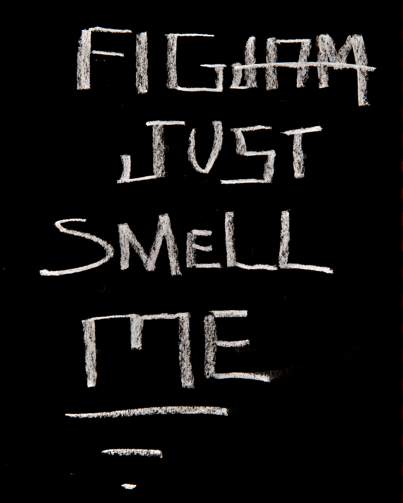 Overhead close-up of black reed sticks through glass vessel with refracted shadows — abstract detail